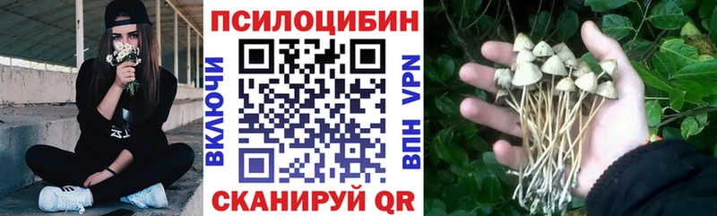 Купить где  Чебаркуль  Галлюциногенные грибы Magic Shrooms 